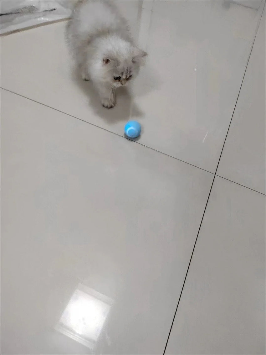 Cat Interactive Ball Smart Pet Cat Toys