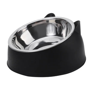 Cat Dog Bowl 15 Degrees Tilted