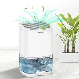 1000ML Air Dehumidifier with Basic Air Filter for Home