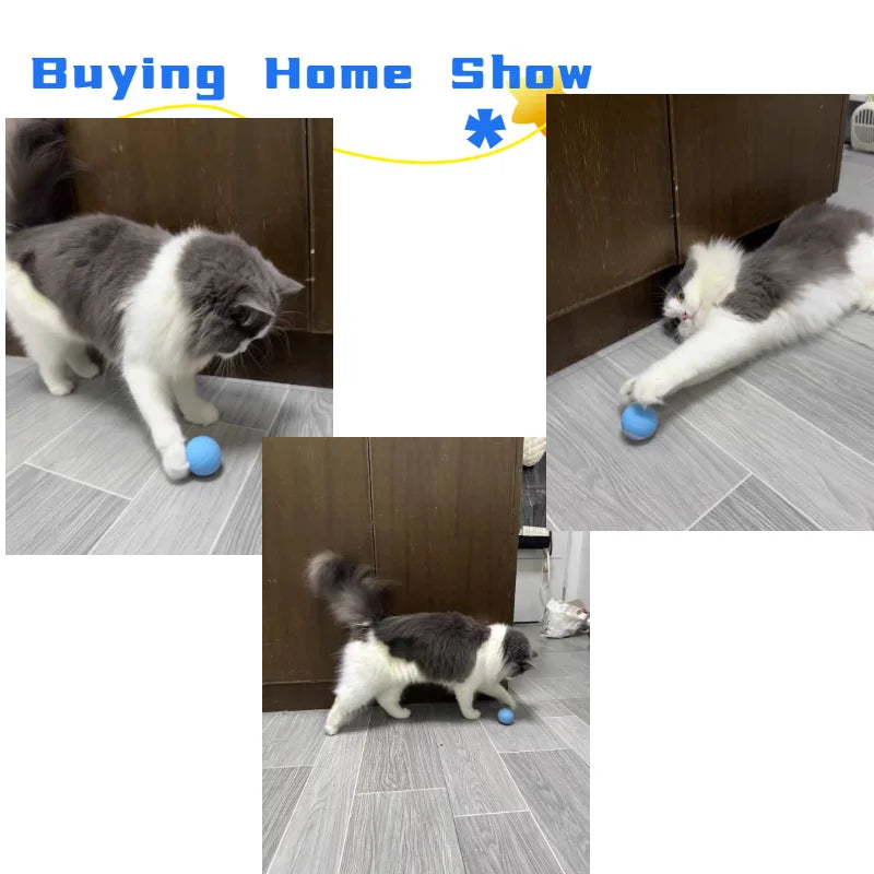 Cat Interactive Ball Smart Pet Cat Toys