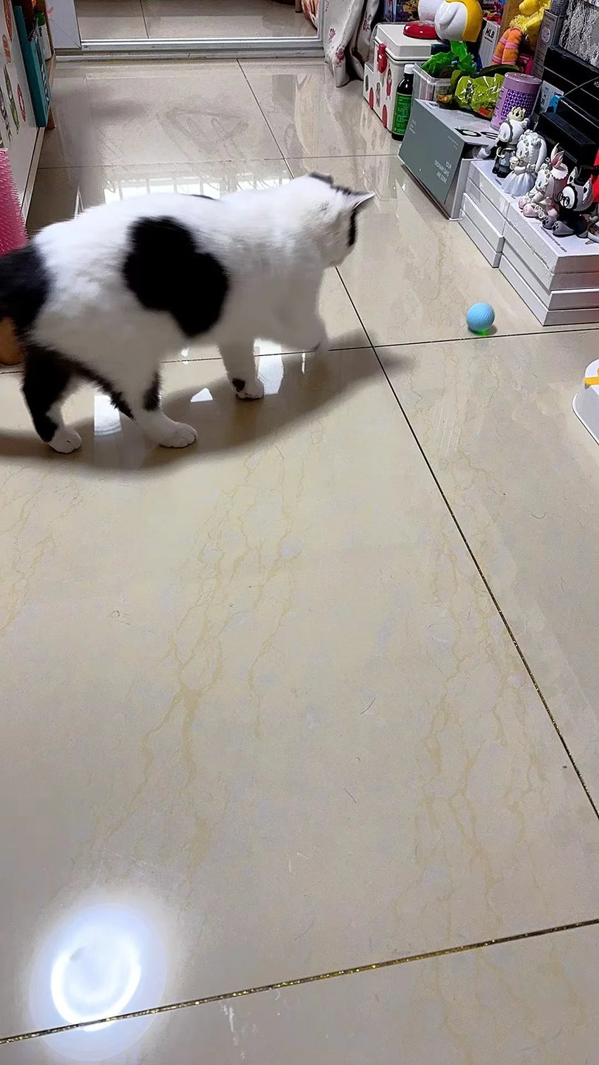 Cat Interactive Ball Smart Pet Cat Toys