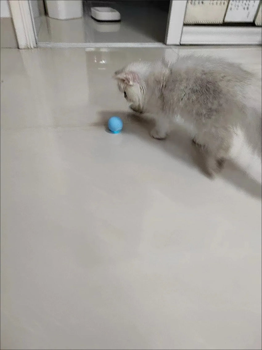 Cat Interactive Ball Smart Pet Cat Toys