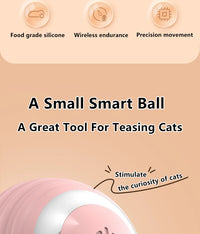 Cat Interactive Ball Smart Pet Cat Toys