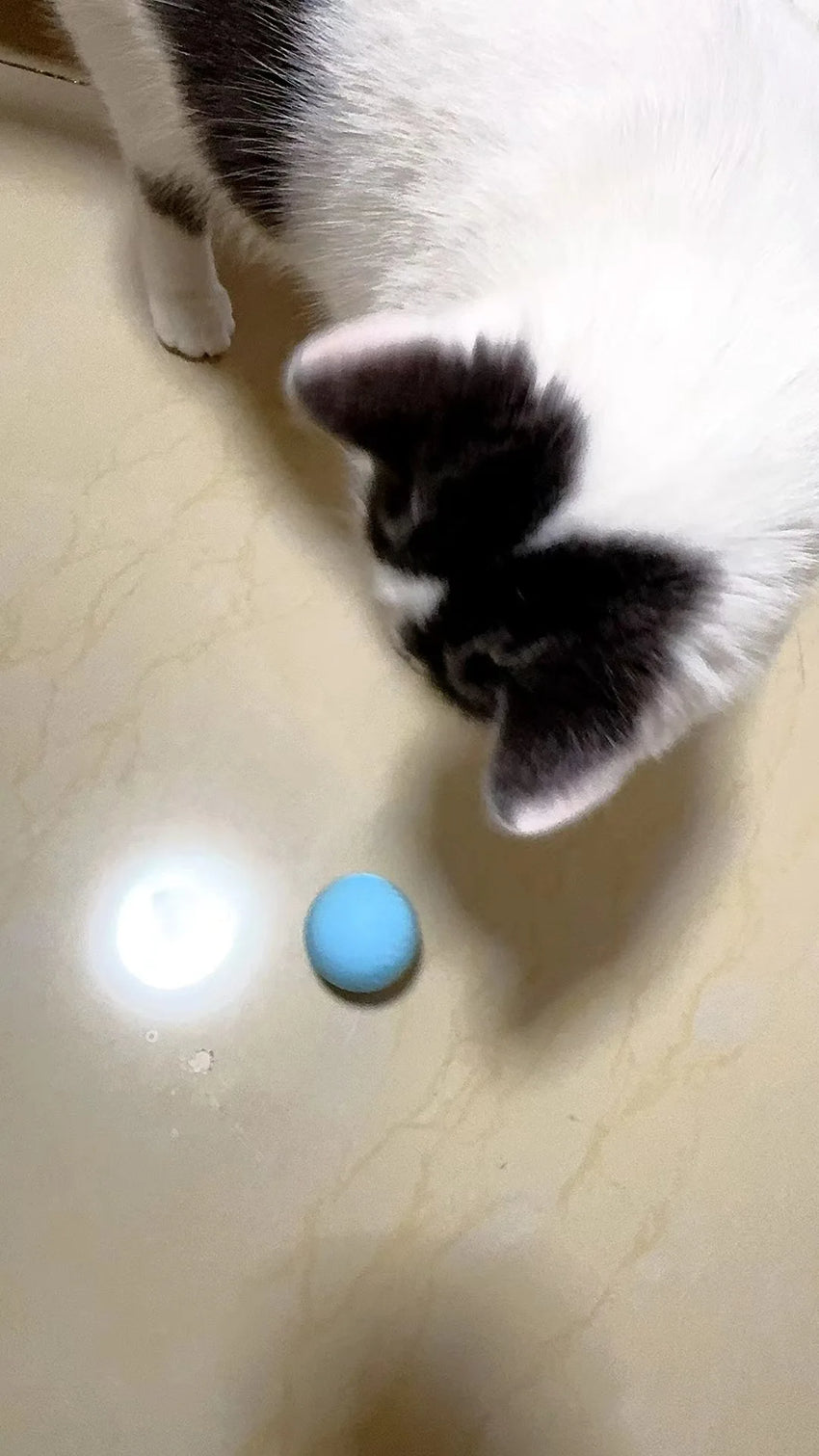 Cat Interactive Ball Smart Pet Cat Toys