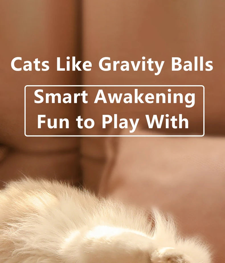 Cat Interactive Ball Smart Pet Cat Toys