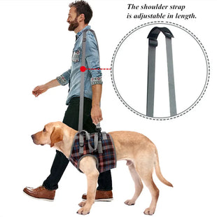 Adjustable Dog Support Harness for Front